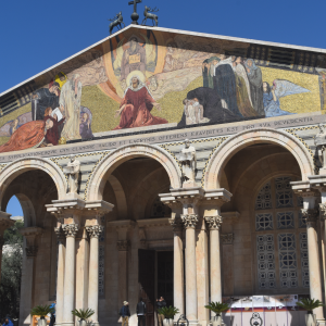 Stones from Mount of Olives