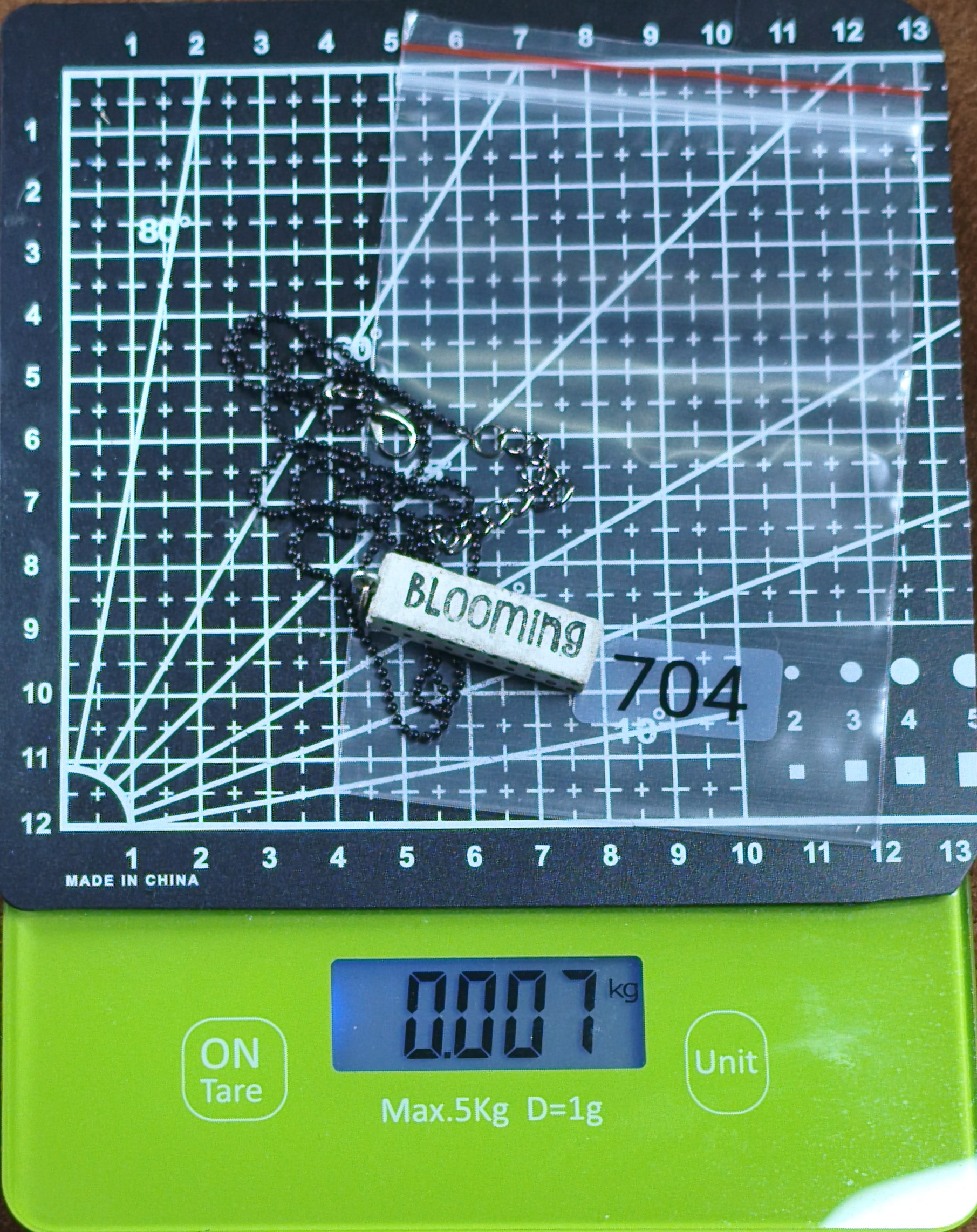 Artist Shirley Rachel Rochman 704